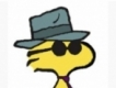user picture2