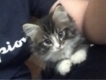 user picture2