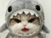 user picture3