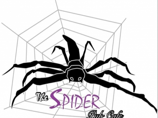 SPIDER DART HOUSE (PERMAS)