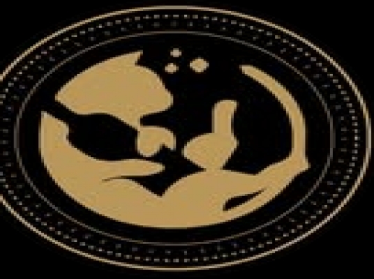 DRUNK' CAT (PUBLIKA)