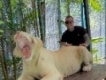 user picture2