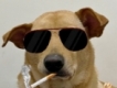 user picture1